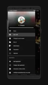 FrenchStream screenshot