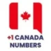 canada phone number apk download
