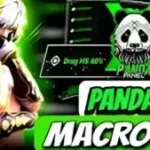 Panda X Panel 1